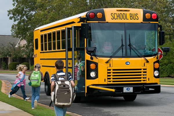 Blue Bird School Bus